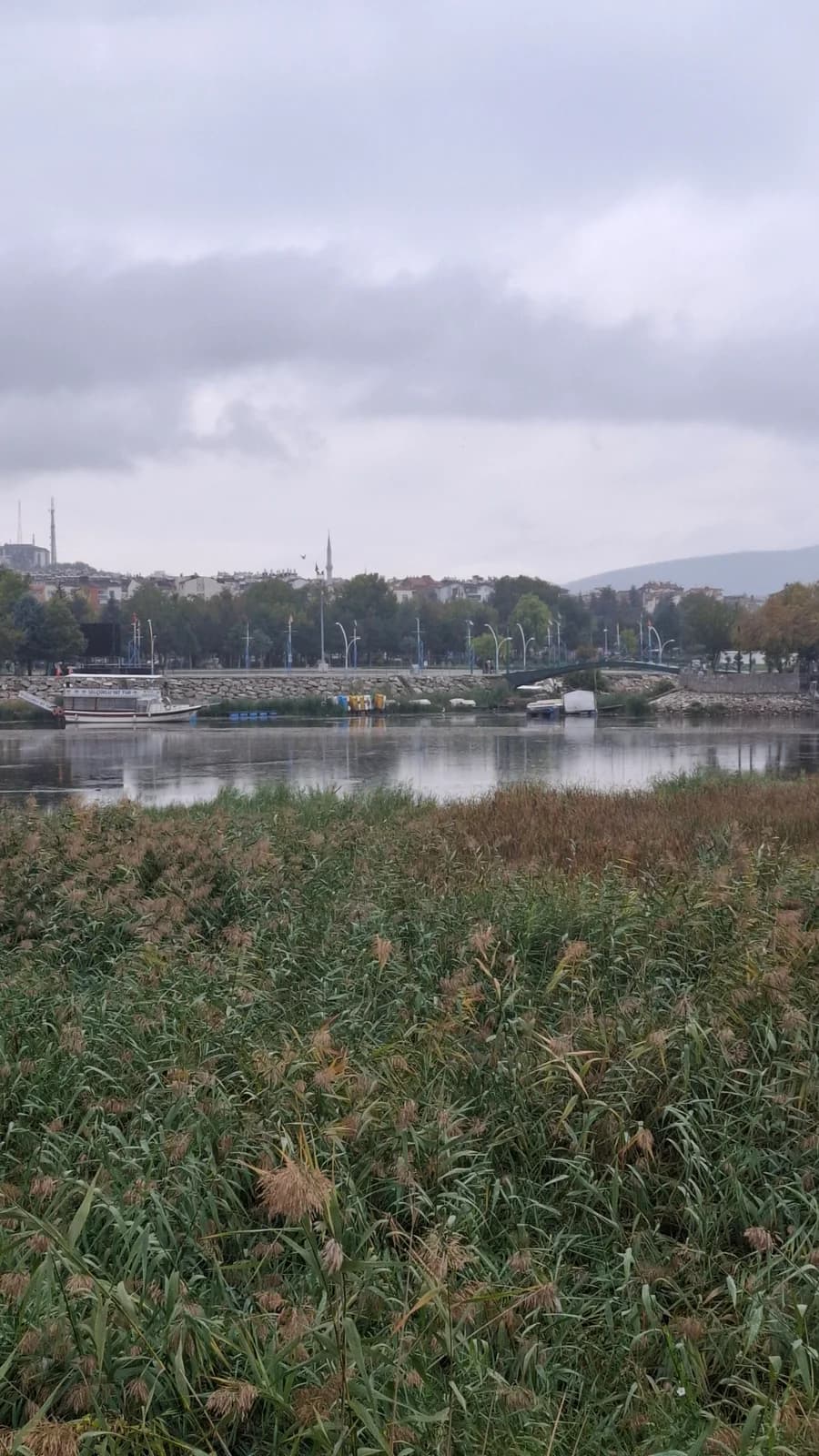 Wasser und gegenüberliegendes Ufer hinter dem Schilf am See in Beyşehir.