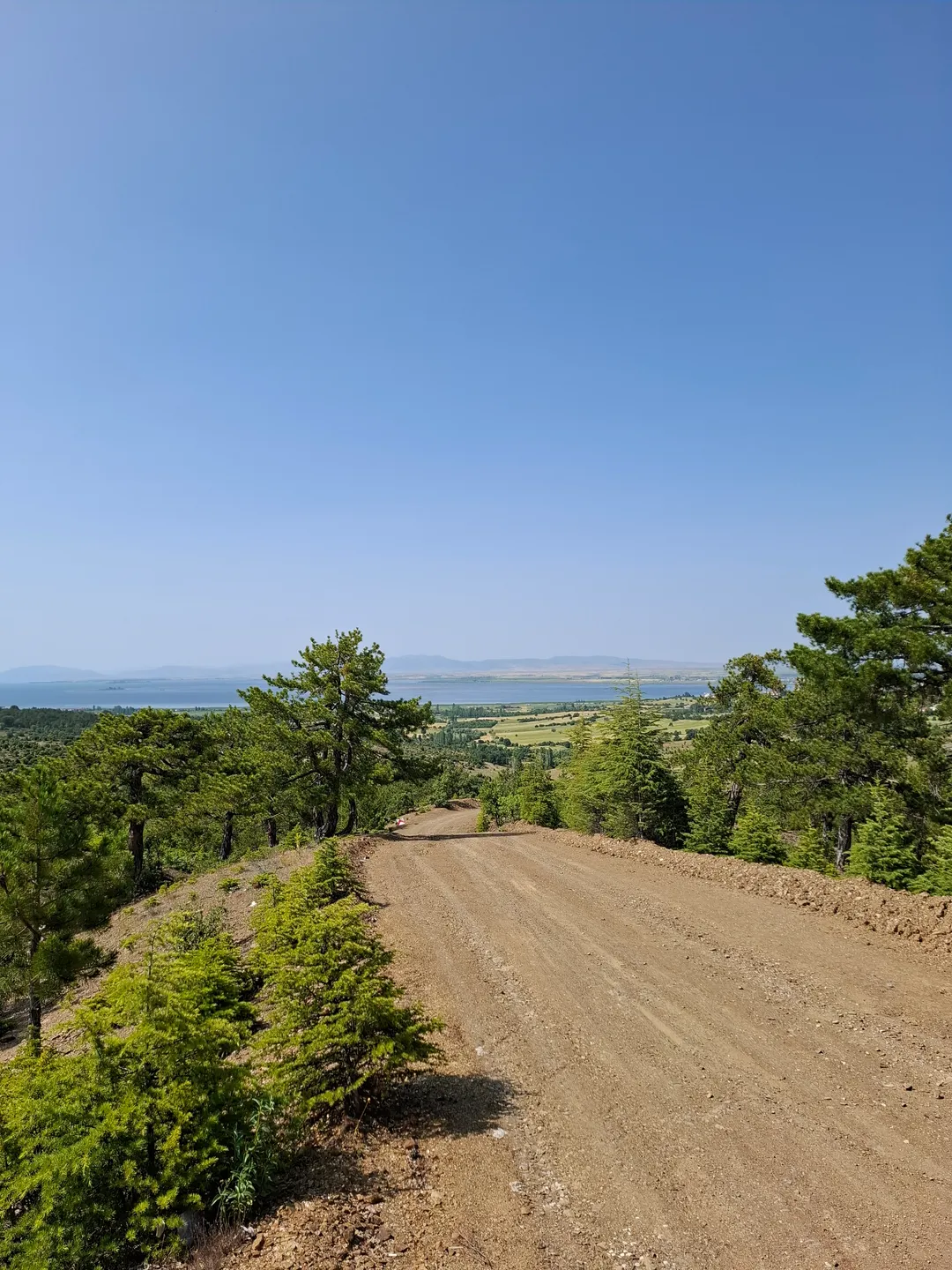 Bölgede ormanlık bir yol; işaretli parkur değildir